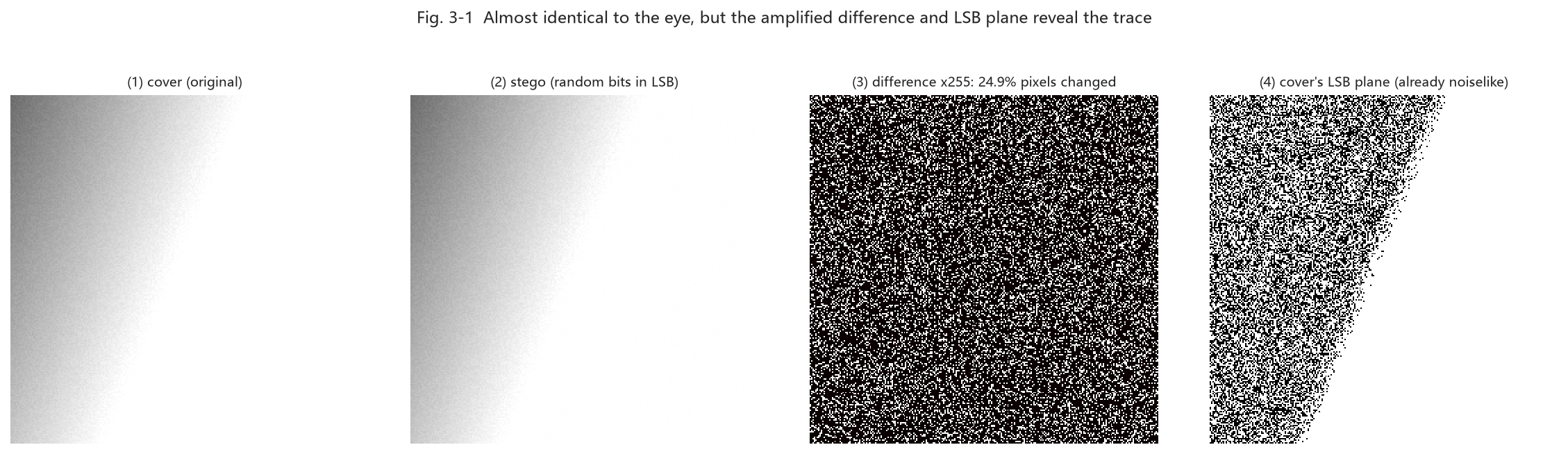 Fig. 3-1 cover vs stego vs amplified diff