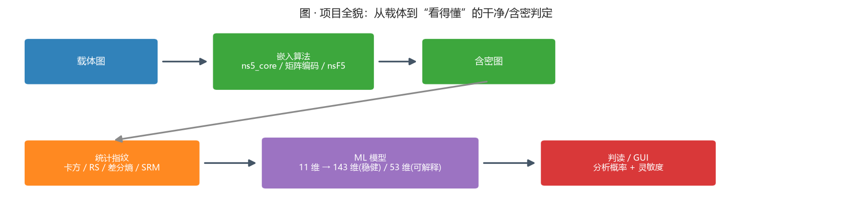 图 · 项目全貌:从载体到“看得懂”的干净/含密判定
